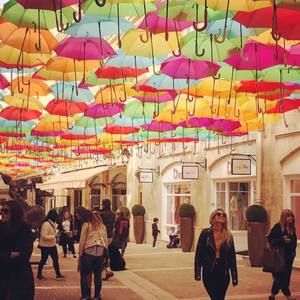 Meet your Posher, Shannon